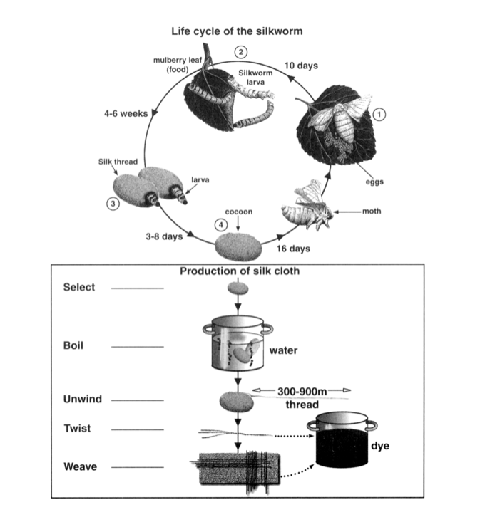 Task 1 chart / graph / diagram