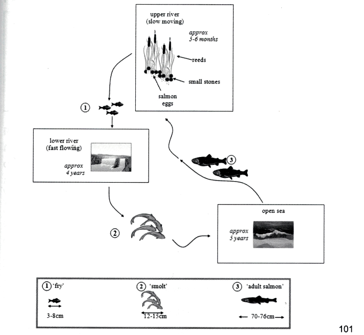 Task 1 chart / graph / diagram
