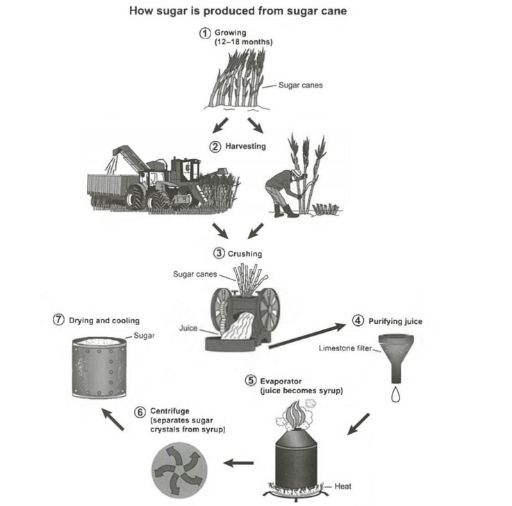 Task 1 chart / graph / diagram