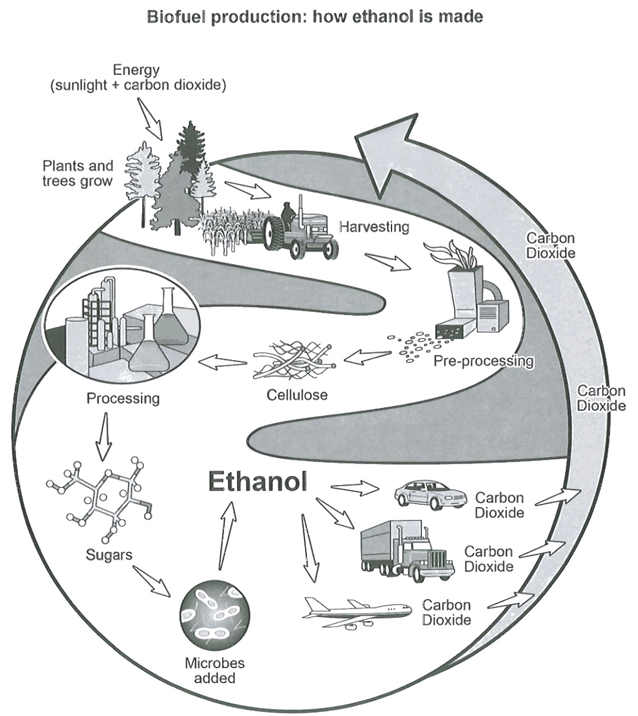 Task 1 chart / graph / diagram